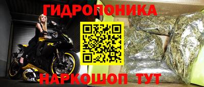 соль ск Партизанск